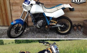 Suzuki DR 600 Djebel 1987 Scrambler Tracker Flattrack Dirttrack - EGERIE MOTO