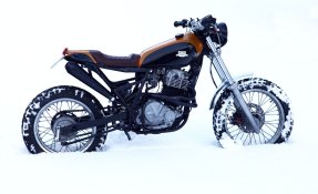 Suzuki 600 DR 1987 Scrambler
